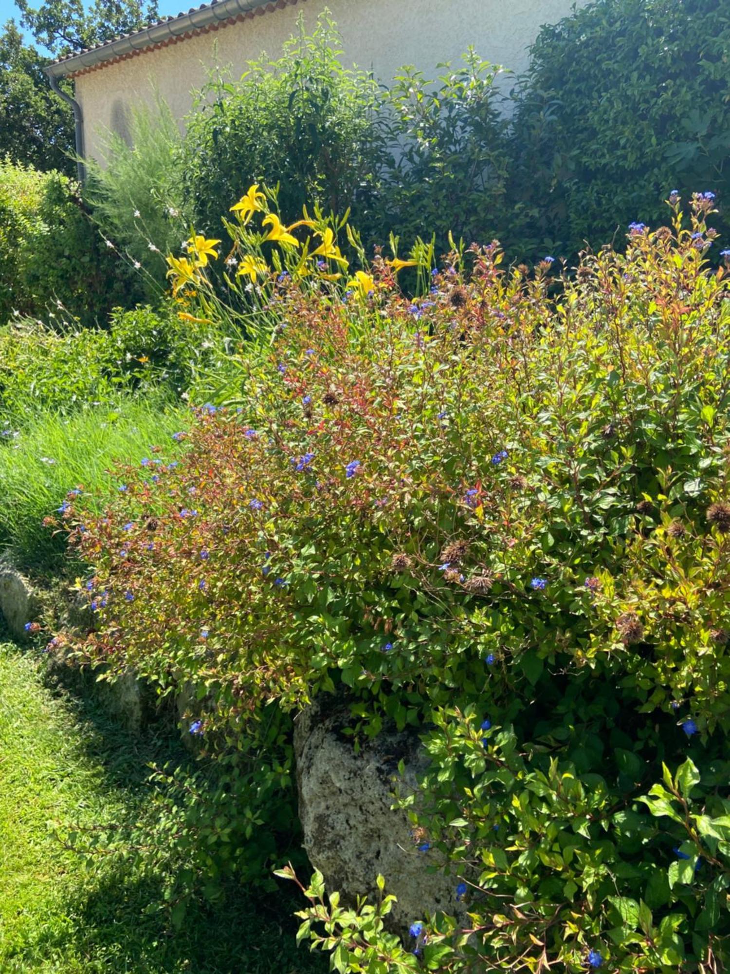 קרפנטרה Paradis Provencal Villa - Espace Detente Et Bbq Lmv מראה חיצוני תמונה